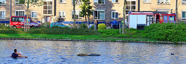 2015/80/GB 20150512 004 Dier in problemen.jpg